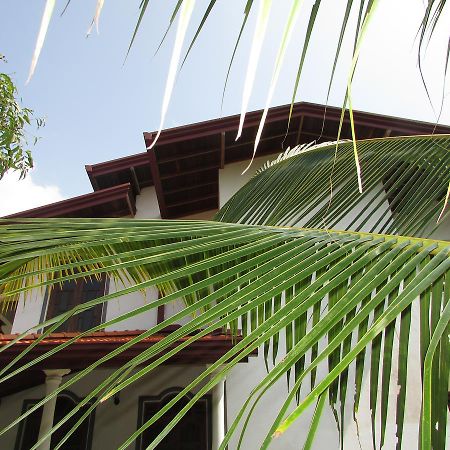 Falcon Villa Induruwa Kültér fotó